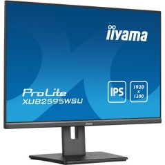 25  Business WUXGA IPS