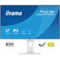 27  FHD Business IPS