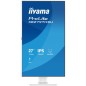 27  FHD Business IPS