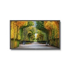 MULTISYNC X554HB  55  XHB-SERIES LARGE FORMAT DISP