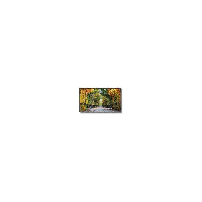 MULTISYNC X554HB  55  XHB-SERIES LARGE FORMAT DISP
