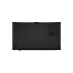 THINVISION E55 VA/UHD/HDMI,DP,USB-C (96W) + USB (1