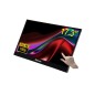 VERBATIM PMT-17 MONITOR PORTATILE TOUCH 17.3 FHD