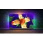 Philips OLED+ 65OLED907 Android TV UHD 4K - Audio Bowers & Wilkins