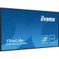 43  1920x1080, IPS panel, 1  Haze VGA, 3x HDMI
