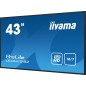 43  1920x1080, IPS panel, 1  Haze VGA, 3x HDMI