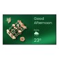 43  LED 3840X2160 ANDROID 14 RAM/ROM: 4G/32GB 18/7