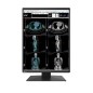 MONITOR EIZO RADIFORCE RX370 3MP COLORE