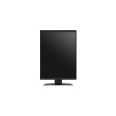 MONITOR EIZO RADIFORCE RX370 3MP COLORE