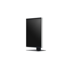 MONITOR EIZO RADIFORCE RX370 3MP COLORE