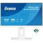 21,5  BUSINESS FHD  IPS