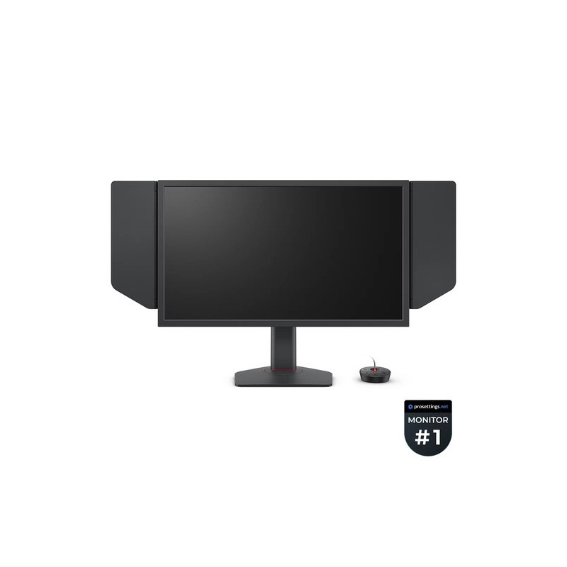 24.1  1920X1080 HDMI DP MULTIMEDIALE