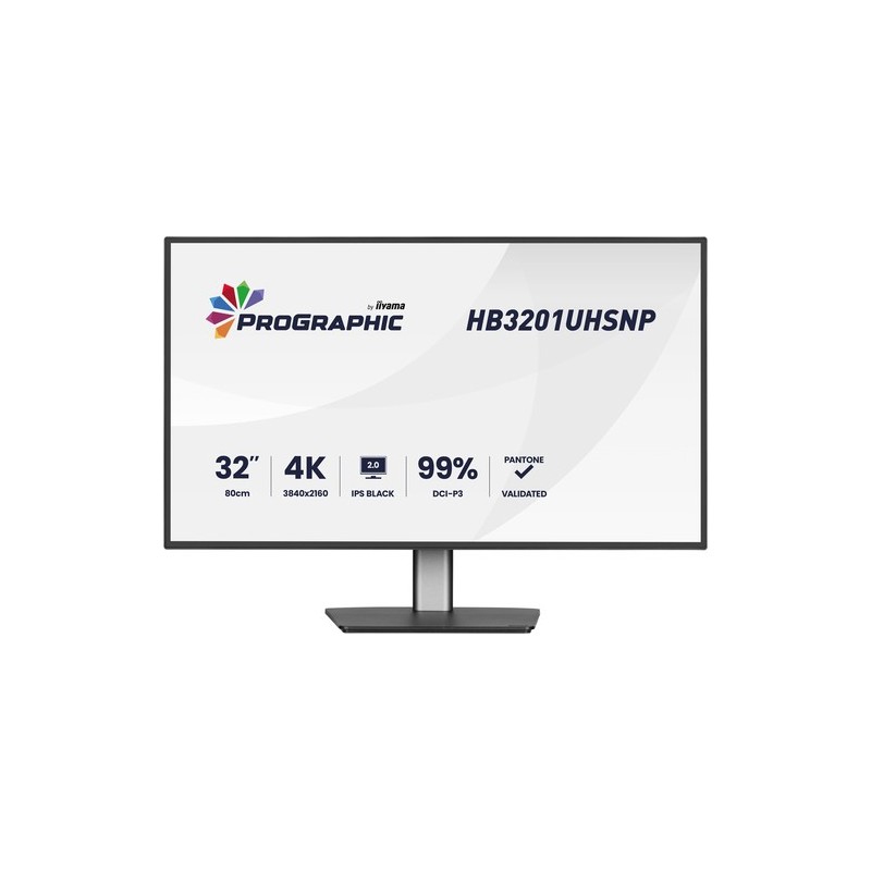 32  IPS 3840x2160 USB-C Dock HDMI DP MULTIMED