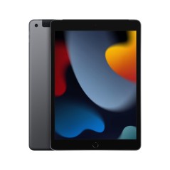 TIM Apple iPad 9th 256 GB 25,9 cm (10.2") Wi-Fi 5 (802.11ac) iPadOS 15 Grigio