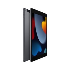 TIM Apple iPad 9th 256 GB 25,9 cm (10.2") Wi-Fi 5 (802.11ac) iPadOS 15 Grigio