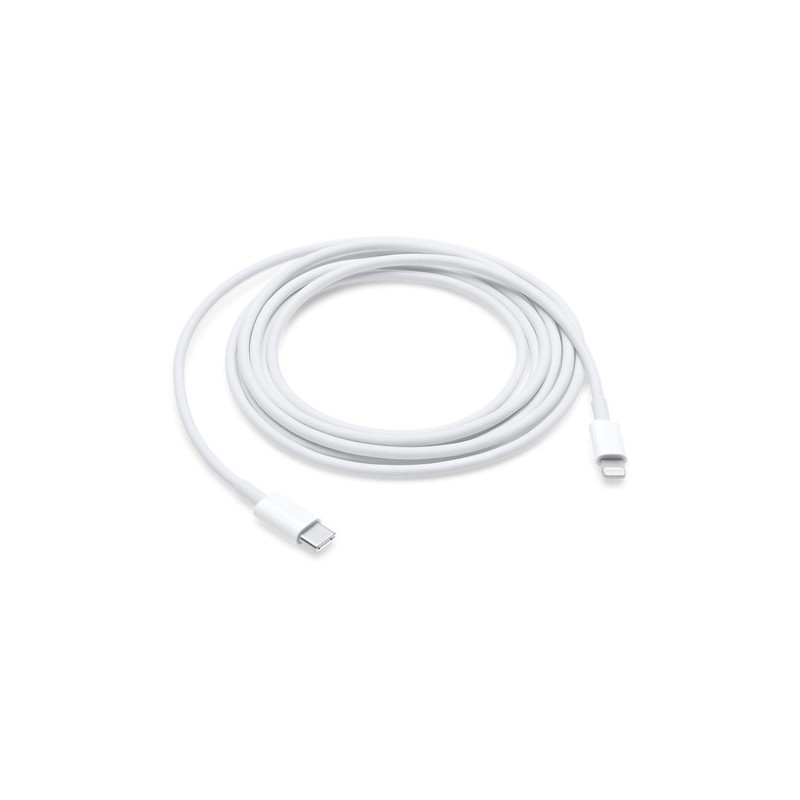 Apple Cavo da USB-C a lightning 2mt