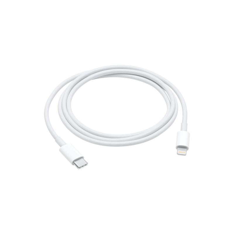 Apple Cavo da USB-C a lightning 1mt