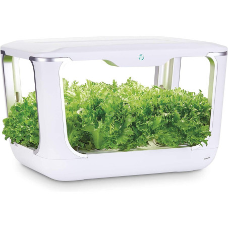 ACQUARAGIA SISTEMA IDROPONICO GREENFARM