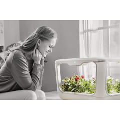 ACQUARAGIA SISTEMA IDROPONICO GREENFARM