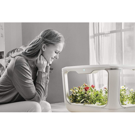 ACQUARAGIA SISTEMA IDROPONICO GREENFARM