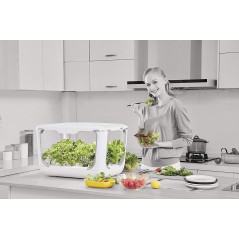 ACQUARAGIA SISTEMA IDROPONICO GREENFARM