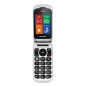 Brondi Stone+ 6,1 cm (2.4") Rosso Telefono cellulare basico