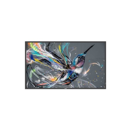 55  Q-LINE  18/7, 4K UHD