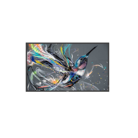 65  Q-LINE  18/7, 4K UHD