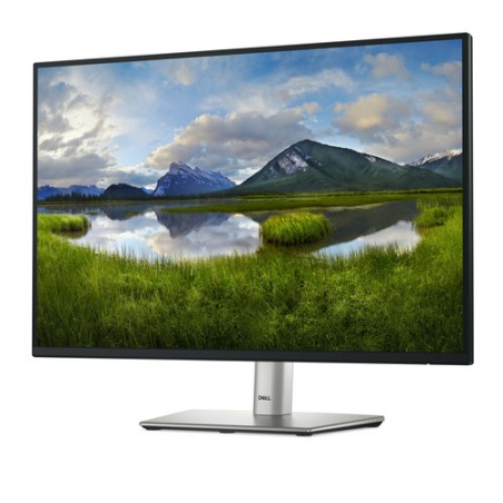 DELL 24 USB-C HUB P2425E