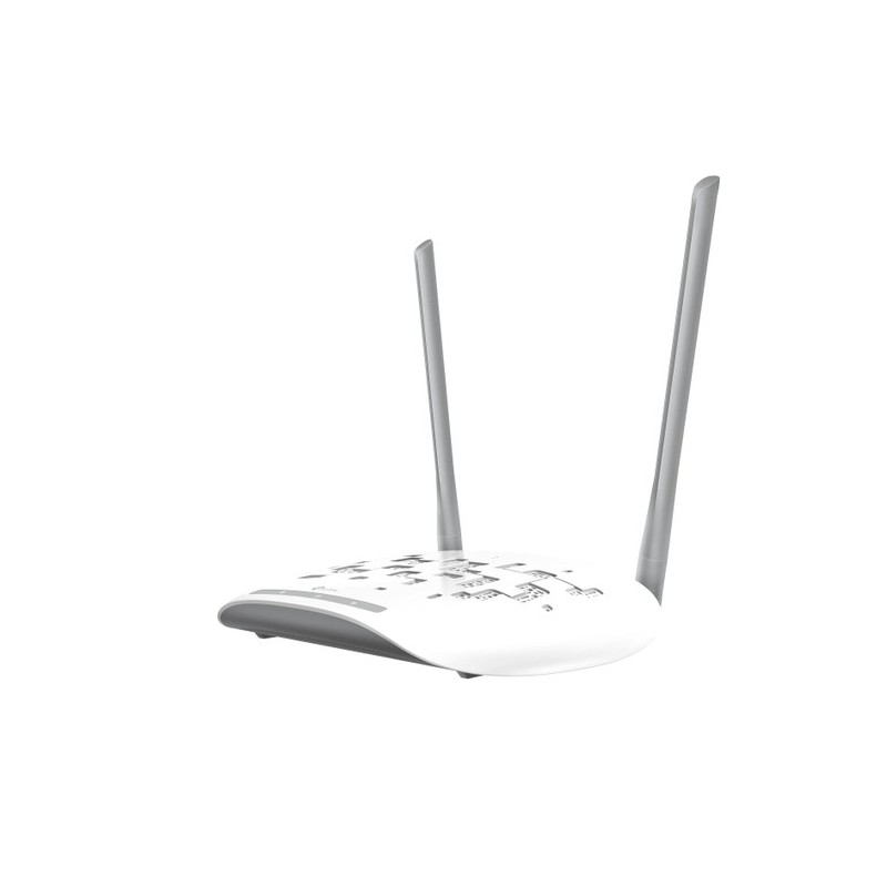 ACCESS POINT 300MBPS 2ANTENNE FISSE