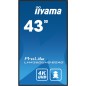 43  3840x2160 500cd/m² 3x HDMI, USB 2x 10W wifi