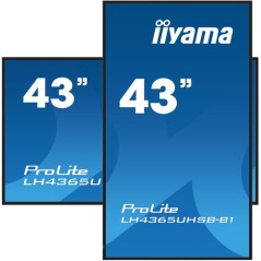 43  3840x2160, UHD IPS panel