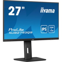 27 Business QHD IPS Panel