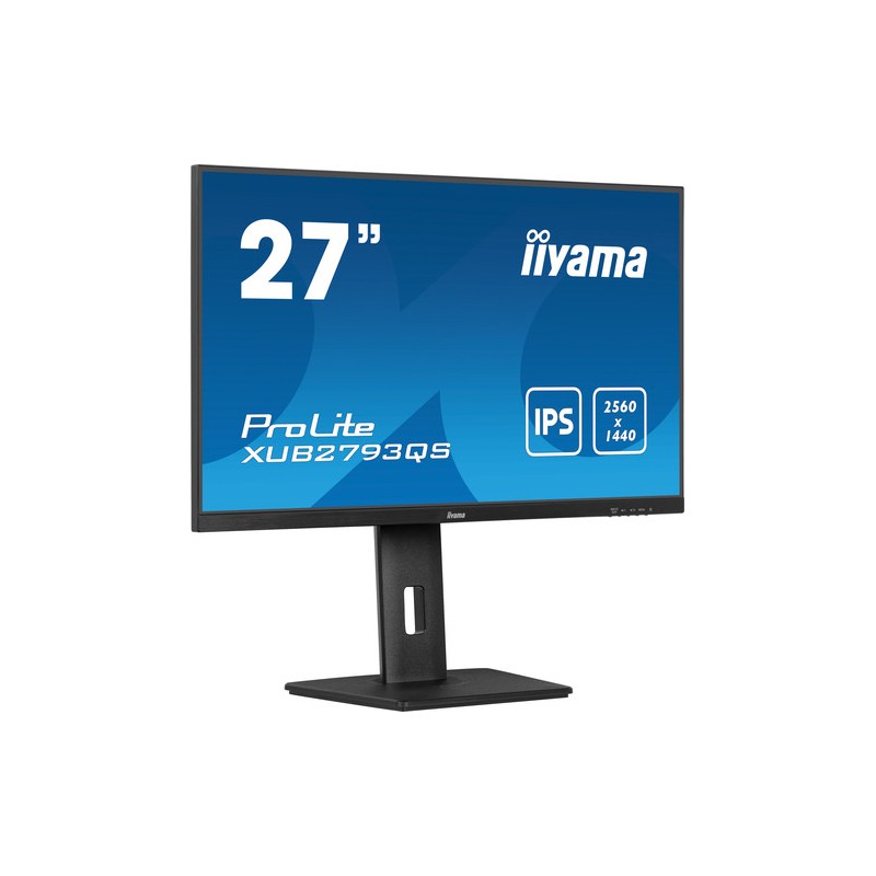 27 Business QHD IPS Panel