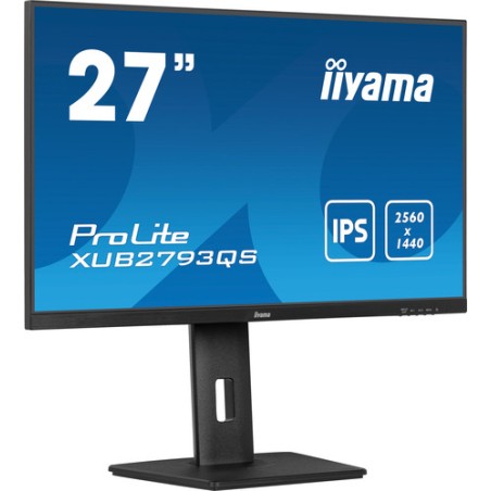 27 Business QHD IPS Panel