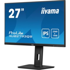 27 Business QHD IPS Panel