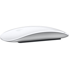 MOUSE MAGIC APPLE WIRELESS CON CAVO USB-C