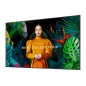 MONITOR SAMSUNG  QB43C 43
